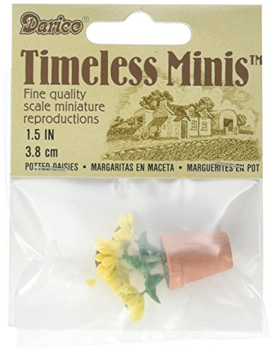 Miniature Potted Daisies (Assorted) 1.5 Inches