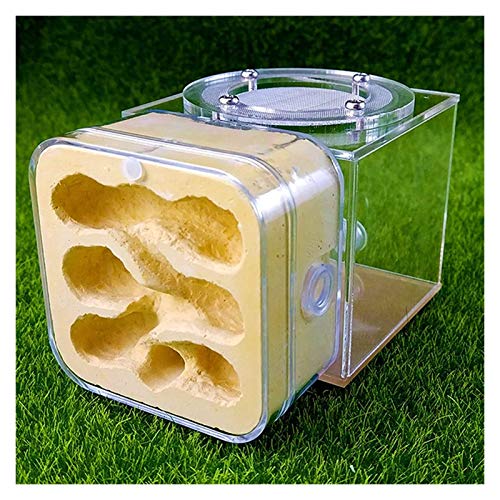 LLNN Insect Villa Acryl Ant Farm DIY Nest, Plaster Ant Workshop Ant Nest Acrylic Ants Farm Kids DIY Educational Toys Pet Ants Insect Cages Children Gifts Festival Birthday Gift (Color : D)