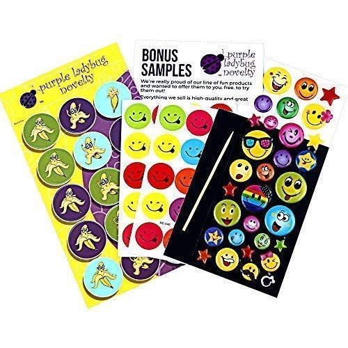 Purple Ladybug Rainbow Scratch Paper Art Kit for Kids – 20 Big