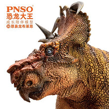 Load image into Gallery viewer, PNSO Prehistoric Dinosaur Models: (30 Brian The Pachyrhinosaurus)

