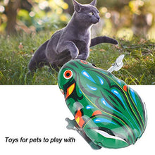 Load image into Gallery viewer, GLOGLOW Clockwork Frogs, 5Pcs 3in Jumping Frog Frogs Iron Sheet Frogs Wind up Toys for Kids Toddlers Party Gift(5 Pcs) Wind-Up Toys
