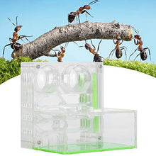 Load image into Gallery viewer, Transparent Easy to Feeding Acrylic Ant Breeding Box, Breeding Box, Ant Watching Box, for Farm Ants Breeding
