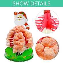 Load image into Gallery viewer, Qinday Magic Growing Crystal Christmas Tree, Presents Novelty Kit for Kids, Funny Educational and Party Toys, Xmas Novelty Creative DIY Gift for Boys Girls (Santas)
