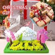 Load image into Gallery viewer, Qinday Magic Growing Crystal Christmas Tree, Presents Novelty Kit for Kids, Funny Educational and Party Toys, Xmas Novelty Creative DIY Gift for Boys Girls (Rockery)
