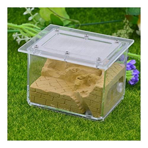 LLNN Insect Villa Acryl Ant Farm DIY Nest, Ant Farm Castle Acryl Box, Great Gift for Kids and Adults, Study of Ant Behavior & Ecosystem 4x3.2x3.2 Inch Festival Birthday Gift (Color : B)