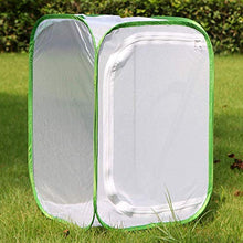 Load image into Gallery viewer, RESTCLOUD Professional Butterfly Habitat Insect Cage Caterpillar Enclosure Pop-up Polyester Bottom for Easier Clean (Green, 15.7 x 15.7 x 23.6 inches)
