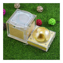Load image into Gallery viewer, Insect Villa Acryl Ant Farm DIY Nest, Ant Nest Farm with Feeding Area Acryl Box, Moisturizing Natural Insect Ecology Box, Educational &amp; Learning Science Kit Toy for Kids &amp; Adults 7.1x3.6 inch Festival
