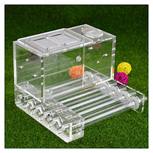 Load image into Gallery viewer, LLNN Insect Villa Acryl Ant Farm DIY Nest, Ant Factory Ant Nest Farm, Moisturizing Natural Insect Ecology Box, Science Toys Kit Gift for Boys &amp; Girls Festival Birthday Gift

