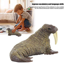 Load image into Gallery viewer, Ruining Miniature Animal Figurine, Children Toy Plastic Animal Model Toy, Home Decoration Hand Painted for Educational Purposes Games
