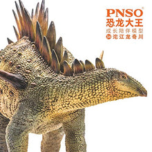 Load image into Gallery viewer, PNSO Prehistoric Dinosaur Models: (34Qichuan The Tuojiangosaurus)
