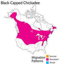 Load image into Gallery viewer, Wild Republic Audubon Birds Black-Capped Chickadee Plush with Authentic Bird Sound, Stuffed Animal, Bird Toys for Kids &amp; Birders
