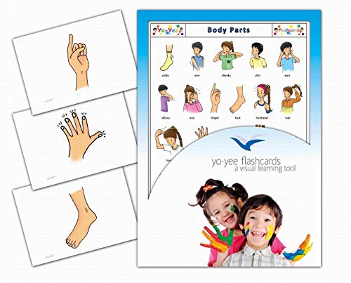 Yo-Yee Flashcards - Body Parts Flash Cards for Preschoolers, Toddlers, Kids and Adults - Including Teaching Activities and Games
