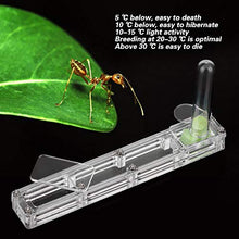 Load image into Gallery viewer, A sixx Ant Breeding Box, Acrylic Ant Breeding Nest Ant Farm House Ant Display Box with Water Tower, Moisturizing, with 1Pcs Dropper, 1Pcs Clamp, 1Pcs Glass Bottle(Transparent)
