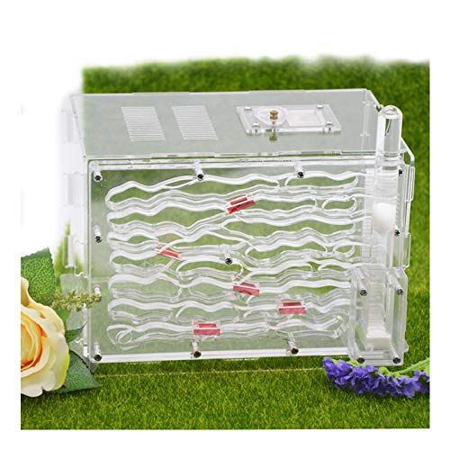LLNN Insect Villa Acryl Ant Farm DIY Nest, Ant Farm Castle, Natural Insect Ecology Box Kids Toy Plastic Ant House Set for Study Ants Within The 3D Maze 8.7x7.1x5.9 Inch Festival Birthday Gift