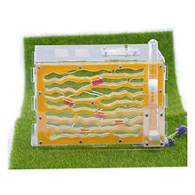 Load image into Gallery viewer, LLNN Insect Villa Acryl Ant Farm DIY Nest, Ant House Ant Nest Farm, Acryl Insect Display Box, Science Toys Kit Gift for Boys &amp; Girls 8.7x7.1x5.9 Inch Festival Birthday Gift
