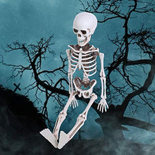 Load image into Gallery viewer, loween Skeleton Prop, loween Hun Skeleton Ornament Trick or Treat Decorations Pretend Play Party Favors(40 cm)
