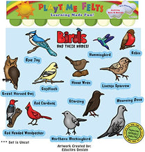 Load image into Gallery viewer, Playtime Felts Birds and Their Names Felt Set for Flannel Board
