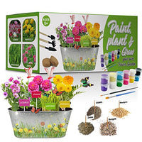 TeiRAY Paint & Plant Flower Growing Kit for Kids - Best Birthday Crafts Gifts for Girls&Boys Age 5, 6, 7, 8-12 Year Old Girl Childrens Gardening Kits, Art Crafts Projects Toys for Ages4-12