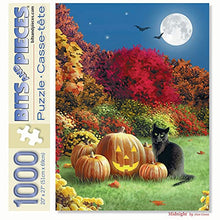 Load image into Gallery viewer, Bits and Pieces - 1000 Piece Jigsaw Puzzle for Adults 20&quot; x 27&quot; - Midnight - 1000 pc Halloween Black Cat Pumpkin Jack-O-Lantern Full Moon Jigsaw by Artist Alan Giana
