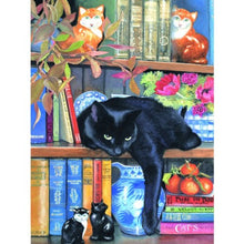 Load image into Gallery viewer, SUNSOUT INC On The Shelf 1000 pc Jigsaw Puzzle
