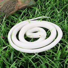 Load image into Gallery viewer, NUOBESTY Rubber Snakes Realistic Halloween Snake Toys Realistic Snake Figurines Prank Toys Haunted House Props for Halloween Party Decoration Supplies Rubber Snakes
