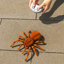 Load image into Gallery viewer, Tipmant RC Spider Remote Control Animal Large Size Realistic Tarantula Prank Toys Vehicle Car Electric Kids Birthday
