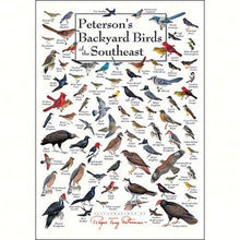 Load image into Gallery viewer, Earth Sky &amp; Water Peterson&#39;s Backyard Birds of SE Greeting Card
