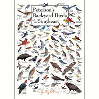 Earth Sky & Water Peterson's Backyard Birds of SE Greeting Card