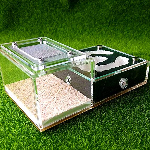 LLNN Insect Villa Acryl Ant Farm DIY Nest, Ant Farm Ant Work Castle - Watch Ants Dig Their Own Ant House Tunnels - Ants Insect Villa Kids Kit Gift 5.9x3.8x2.4 Inch Festival Birthday Gift