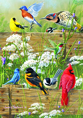 Buffalo Games - Hautman Brothers - Songbird Menagerie - 300 Large Piece Jigsaw Puzzle