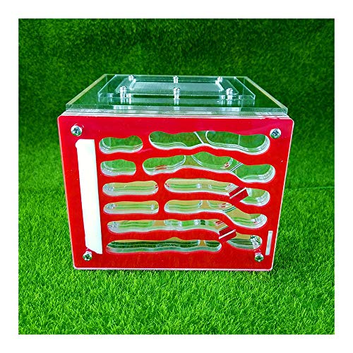 LLNN Insect Villa Acryl Ant Farm DIY Nest, Ant Nest Farm Ant Factory, Moisturizing Natural Insect Ecology Box, Educational & Learning Science Kit Toy 6.3x5.5x4.5 Inch Festival Birthday Gift