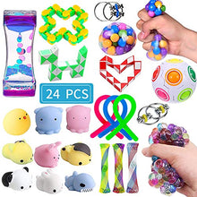 Load image into Gallery viewer, Sensory Fidget Toys Set 24 Pack Stress Relief and Anti-Anxiety Hand Toys for Kids and Adults Calming Toys with Fidget Ball Marble and Mesh Sensory Toys Perfect for Children with ADHD Autism
