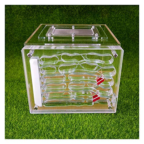 Insect Villa Acryl Ant Farm DIY Nest, Ant Farm Castle, Natural Insect Ecology Box Breeding Cage Kids Toy Plastic Ant House Set for Study Ants Within The 3D Maze 6.3x5.5x4.5 Inch Festival Birthday Gift