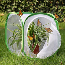 Load image into Gallery viewer, RESTCLOUD Insect and Butterfly Habitat Cage Terrarium Pop-up 12 X 12 X 12 Inches
