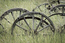 Load image into Gallery viewer, Posterazzi Collection Ole Wagon Wheels II Poster Print by Kathy Mahan (36 x 24)
