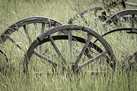 Posterazzi Collection Ole Wagon Wheels II Poster Print by Kathy Mahan (36 x 24)