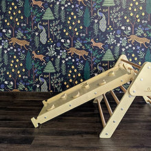 Load image into Gallery viewer, CASSARO Reversible Rock Climbing Ramp for Climbing Triangle and Waldorf Rockers - Ramp Only
