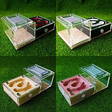 Load image into Gallery viewer, LLNN Insect Villa Acryl Ant Farm DIY Nest, Ant Farm Ant Work Castle - Gypsum Core Breeding Cage Kids Toy Plastic Ant Farm Set - Ants Insect Villa 5.9x3.8x2.4 Inch Festival Birthday Gift
