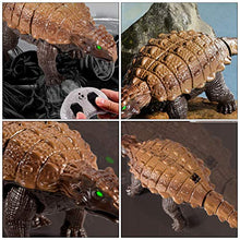 Load image into Gallery viewer, jojofuny Dinosaur Toy, Kids Electric Dinosaur Toy, Simulation Carapace Dragon Model Toy for Boys Girls Children ( 1 Set )
